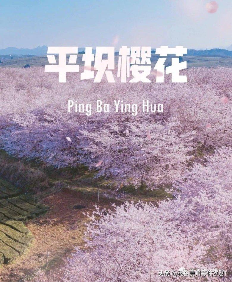 吃水果的蛇