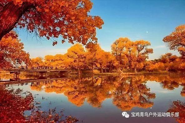 逃离废弃的建筑
