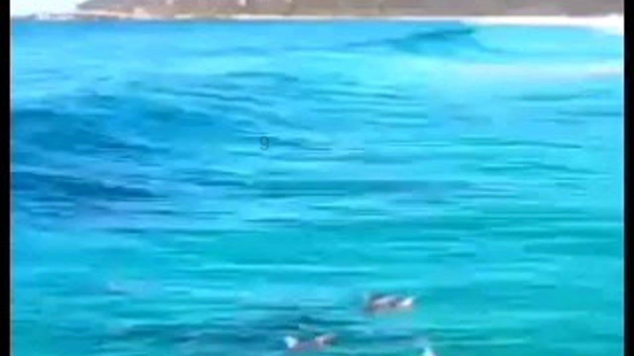 影视工厂