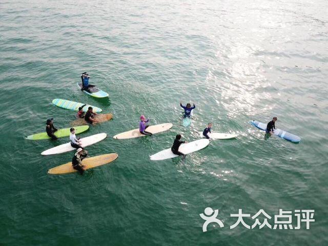 全民烧脑3去广告版