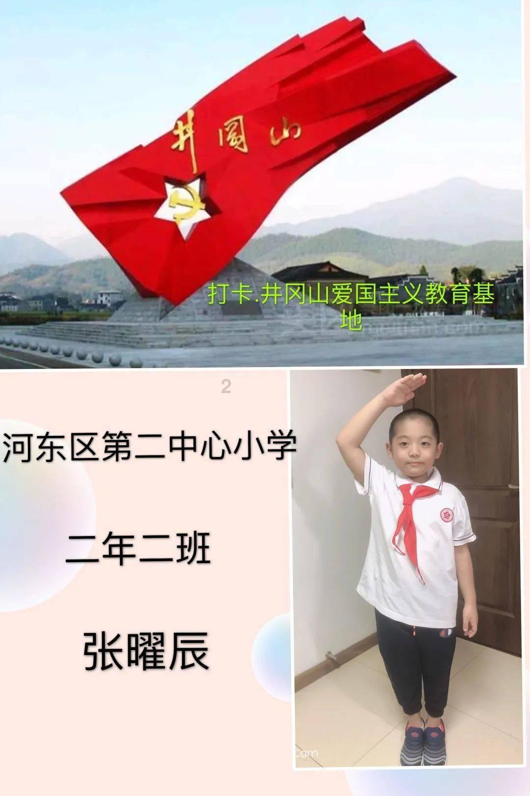 眼镜蛇秘密行动