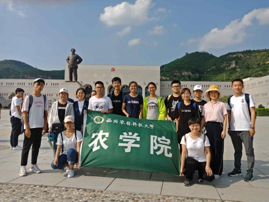 金秀法院“三端共治”助推民族团结