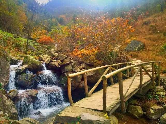 韩国女团aespa舞台被质疑假跳,团队对此有何回应?-专业的知识问答网页