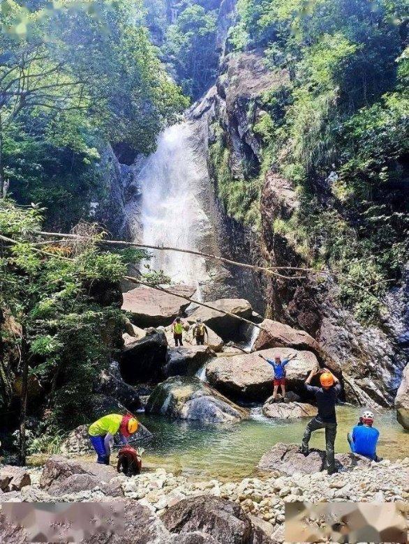 整整7天!2024深圳迎春花市来了,时间地点公布